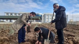 Edirne’de kurutulan bataklıkta ”aromatik bitkiler bahçesi” oluşturuldu