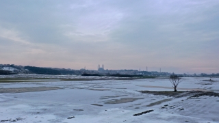 Edirne’de soğuk hava nedeniyle nehir kenarındaki tarlalar buz tuttu