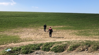 Tekirdağ’da hırsızlık şüphelileri polis ekiplerince tarlada yakalandı