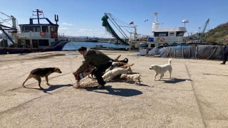 Kırklareli’nden kısa kısa