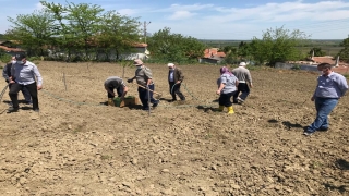 Edirne’de huzurevi sakinlerinin hareketliliklerini artırmak amacıyla tarımsal faaliyetler düzenleniyor