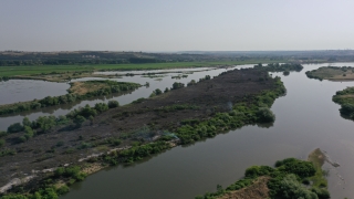 Meriç Nehri’ndeki adacıkta çıkan yangın kendiliğinden söndü