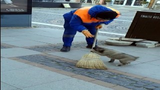 Temizlik işçisinin yavru köpekle oynadığı anlar, sosyal medyada ilgi gördü