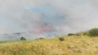 Şarköy’de makilik yangını; 5 hektar yandı