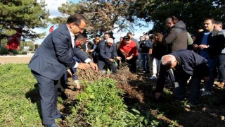 Edirne Kırmızısı Hasat Şenliği’nde ’kırmızılı’ keman ve semazen gösterisi (2)