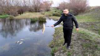 BALIK ÖLÜMLERİNE DERİN İNCELEME!