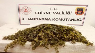 Edirne’de 5 kilo 500 gram kubar esrar ele geçirildi; 3 gözaltı