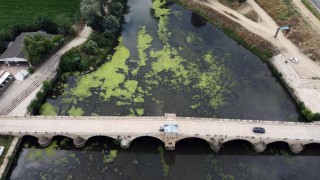 Tunca Nehri’nde su seviyesi yarıya düştü; yüzeyi ot ve çöple kaplandı