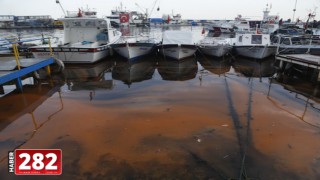 Tekirdağ sahilinde plankton çoğalması deniz suyunu turuncuya dönüştürdü