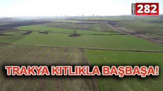 ÇİFTÇİLER UYARDI: TRAKYA DİKKAT!