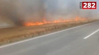 Tekirdağ'da 180 dönüm ekili buğday yandı; 3 kişi dumandan etkilendi