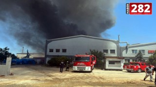 Tekirdağ’da fabrika yangını