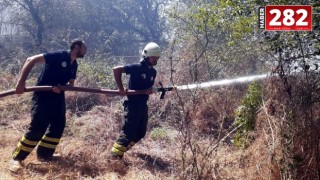 Tekirdağ'da anız yangını ormana ulaşmadan söndürüldü