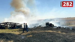 Tekirdağ'da çiftlikteki yangında 500 dönüm tarım arazisi zarar gördü