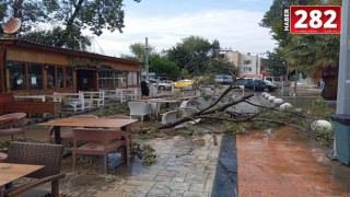 Marmaraereğlisi'nde Sağnak ve kuvvetli rüzgar; ağaçlar devrildi, çatılar uçtu