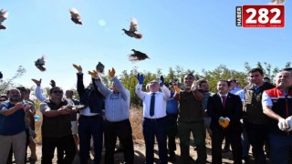 Tekirdağ'da 300 çil keklik doğaya salındı