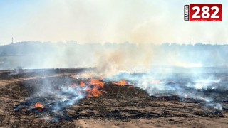 Tekirdağ'da temmuz ayında 911 yangın çıktı