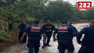 Mantar toplamaya gittikleri ormanda kaybolan çifti, jandarma buldu